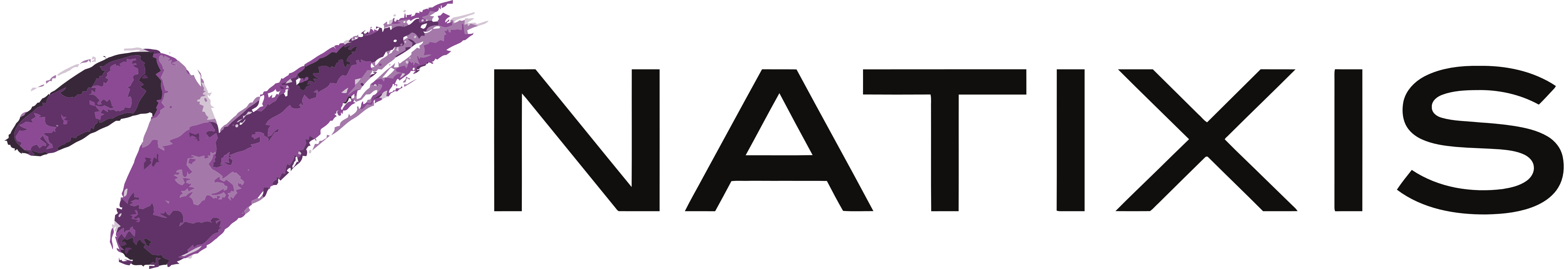 Logo Natixis - Parceiro Host Wise
