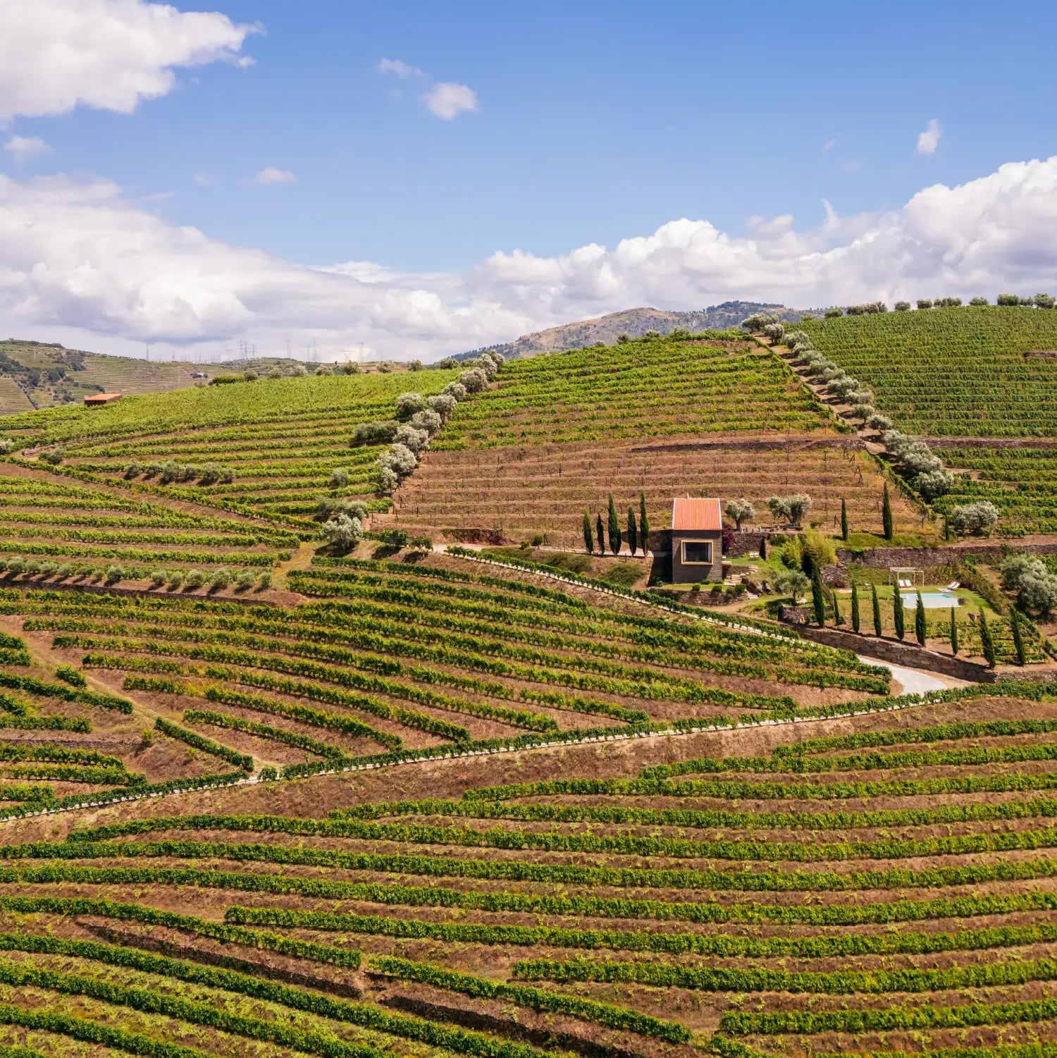 Alojamento Local em Lamego, no Douro, gerido pela Host Wise