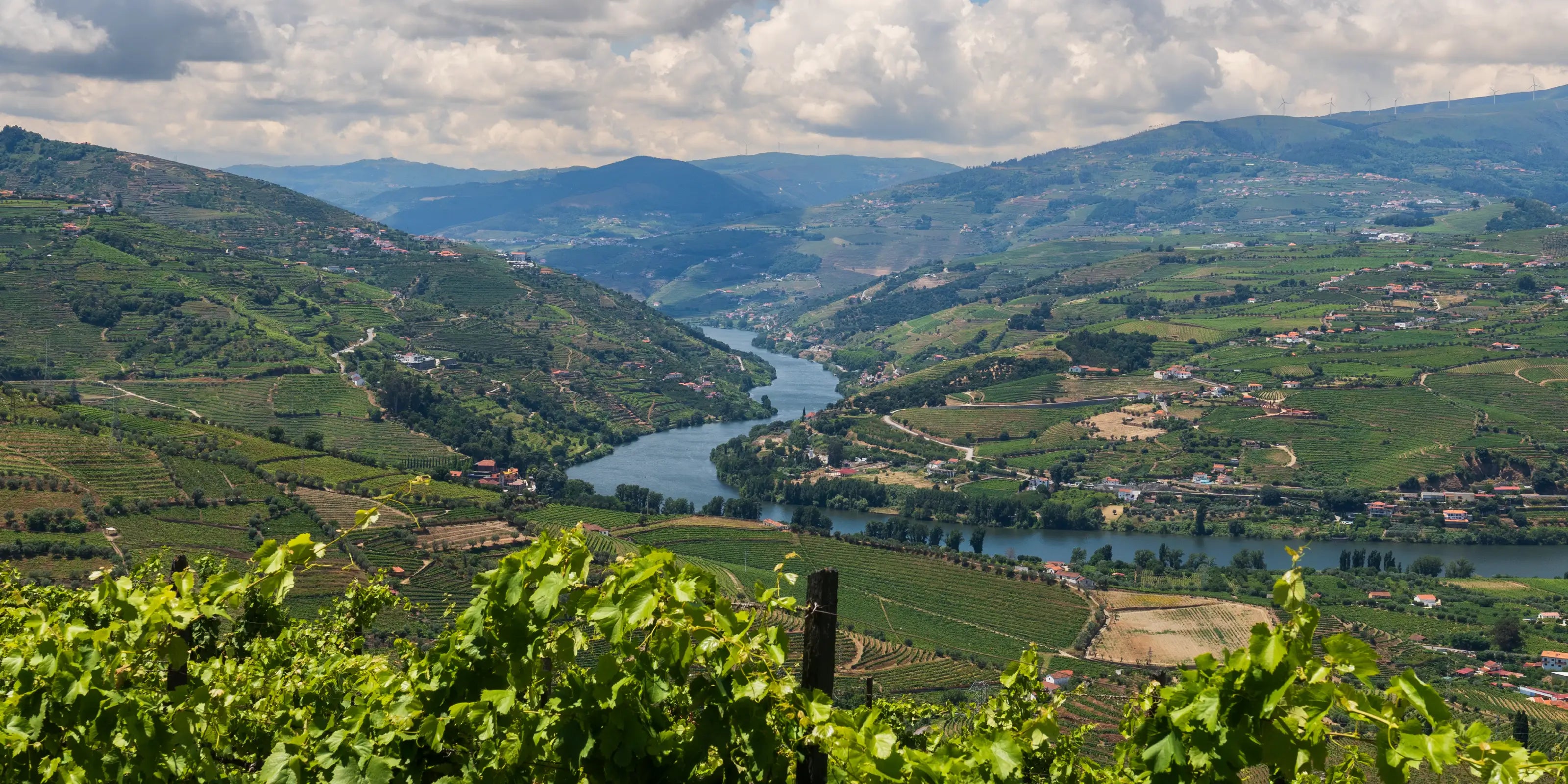 Vista Panorâmica para o Douro, região onde a Host Wise realizar serviços de Gestão de Alojamento Local