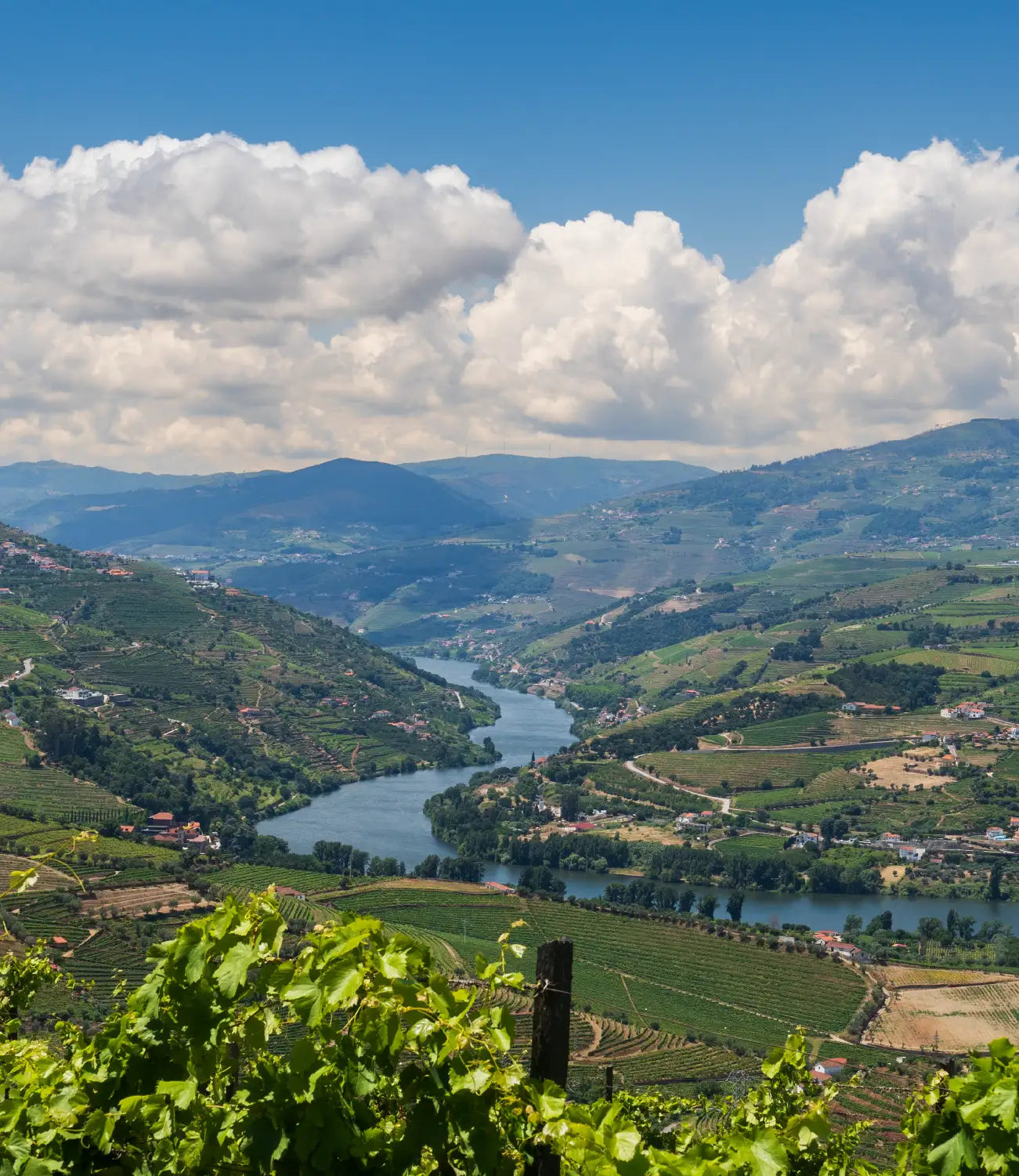 Vista Panorâmica para o Douro, região onde a Host Wise realizar serviços de Gestão de Alojamento Local